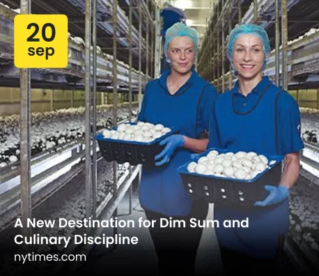 Screenshot 2025-06-24 133811